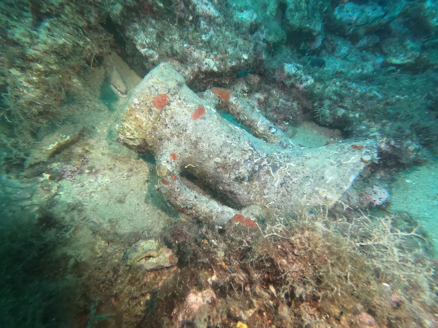 Island of Čiovo — South Side — dive site