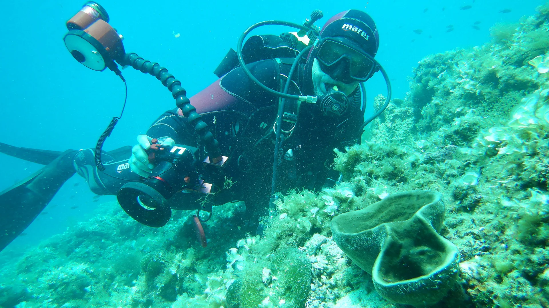 Digital Underwater Photographer