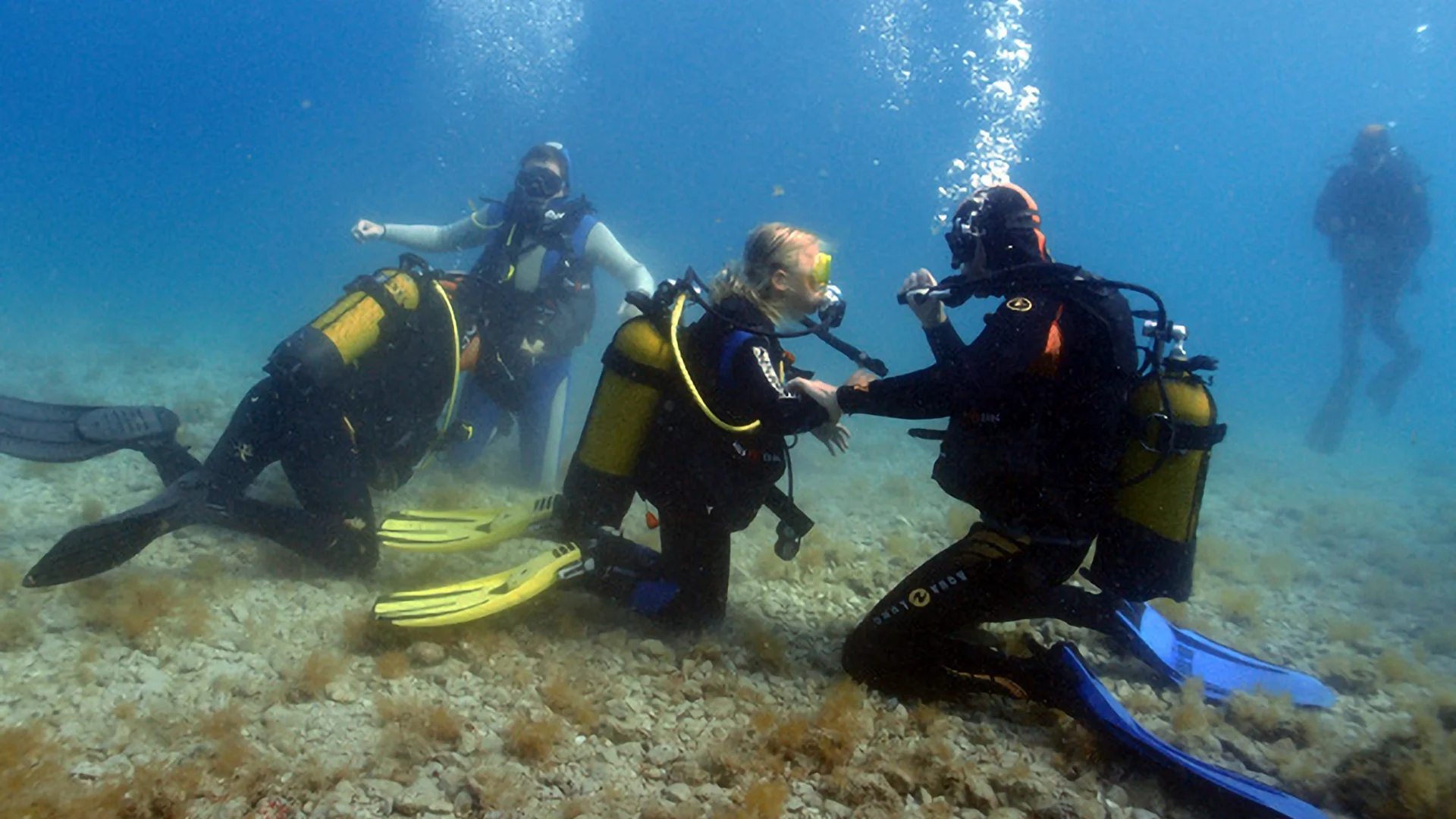 PADI Scuba Diver