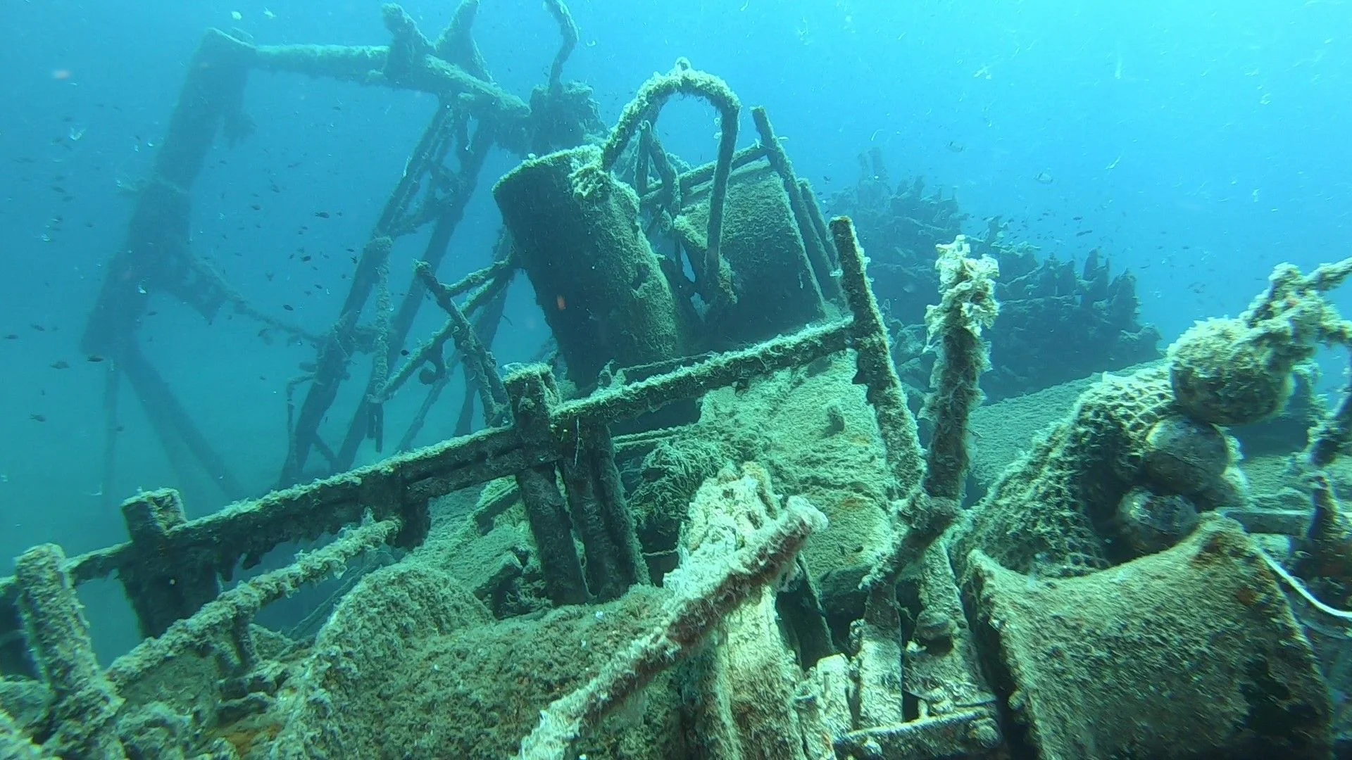 Tim Diving Center Venus