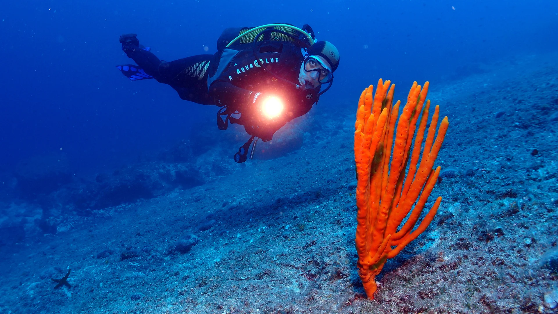 Night Diver